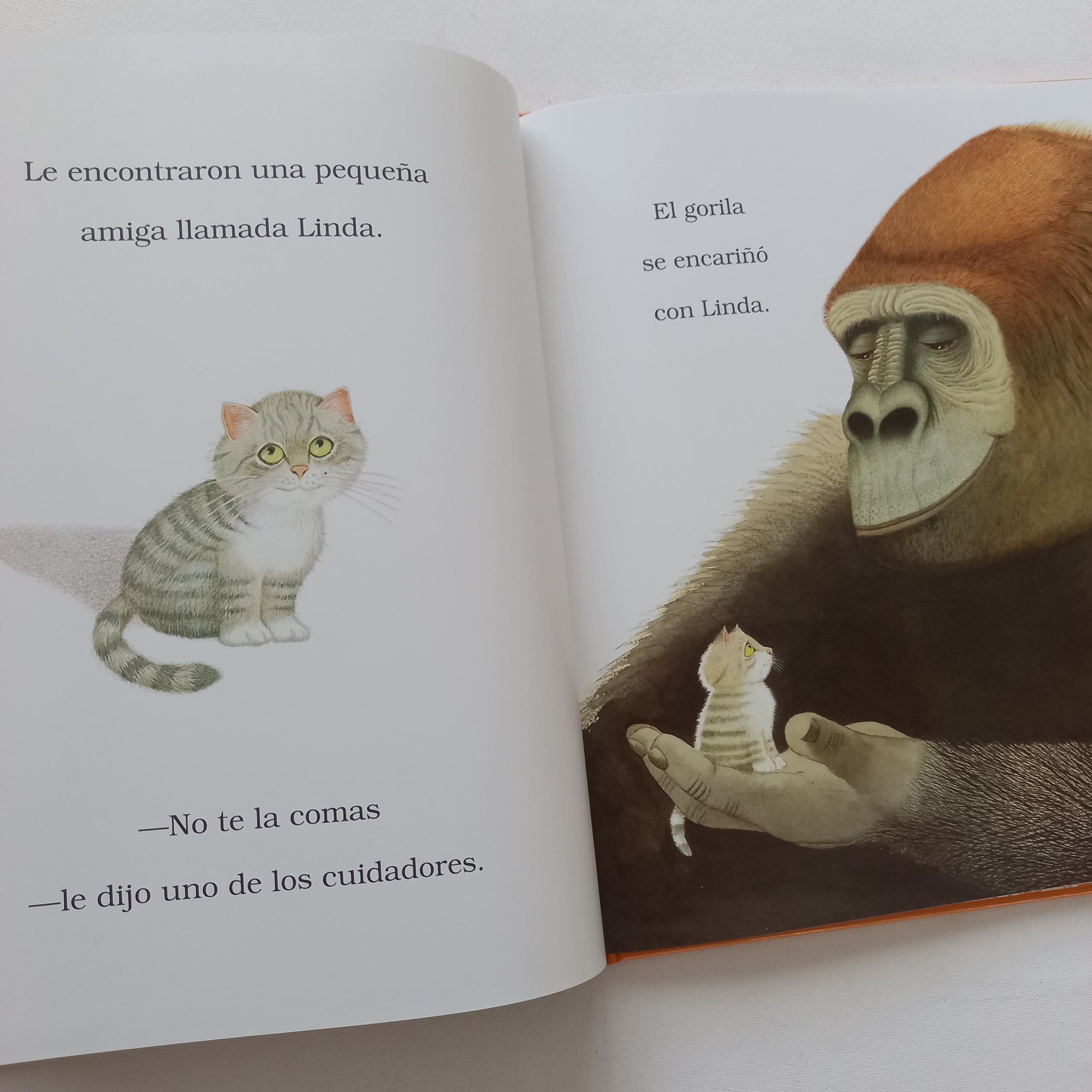Cosita linda Cosita linda